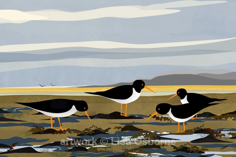 Oystercatchers at the shoreline - DIGITAL ARTWORK