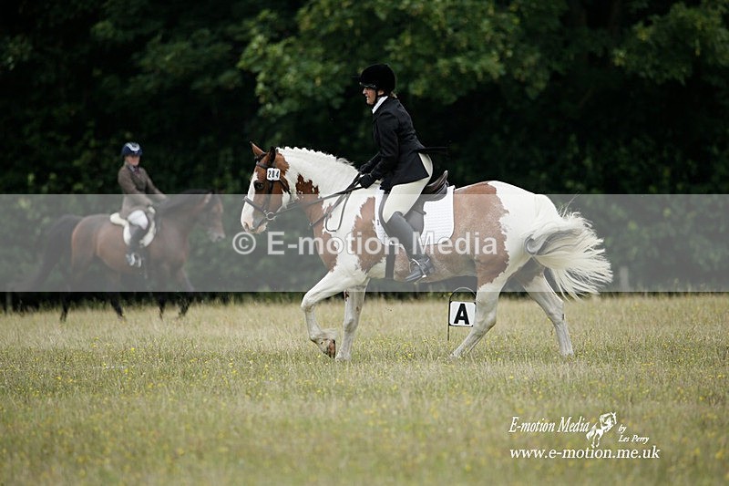 BVRC 030721 83 - Bourne Valley Riding Club Dressage 03/07/21