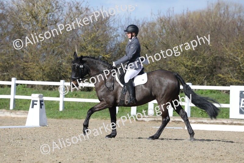 20260314-4864 - CT6 - Elementary 1