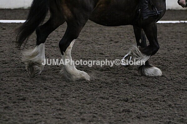 SIAL4340 - CAbin Dressage 5th july 2025