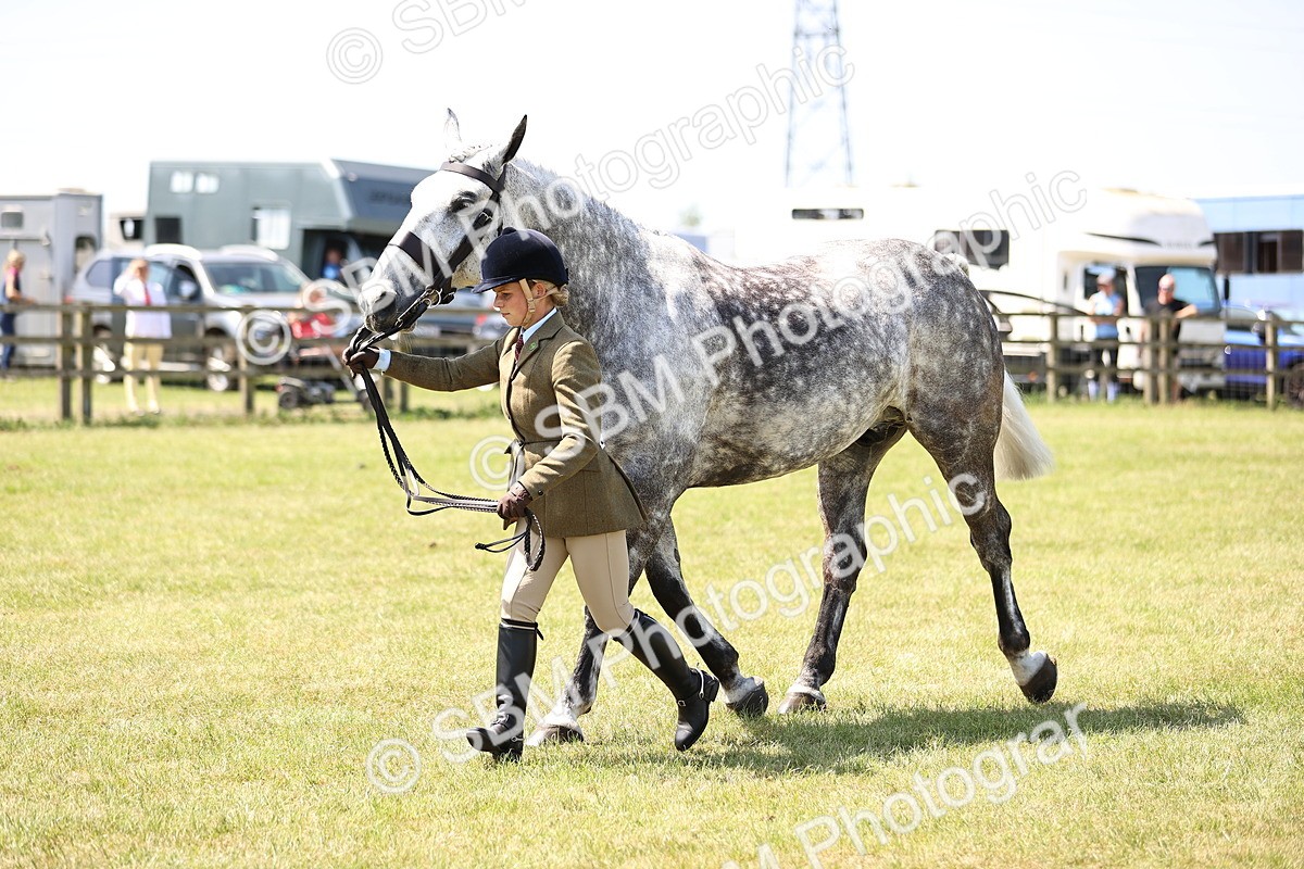 SBM_16165 - Class 79-80 - LIHS BSHA Rising Star Ridden Hunter