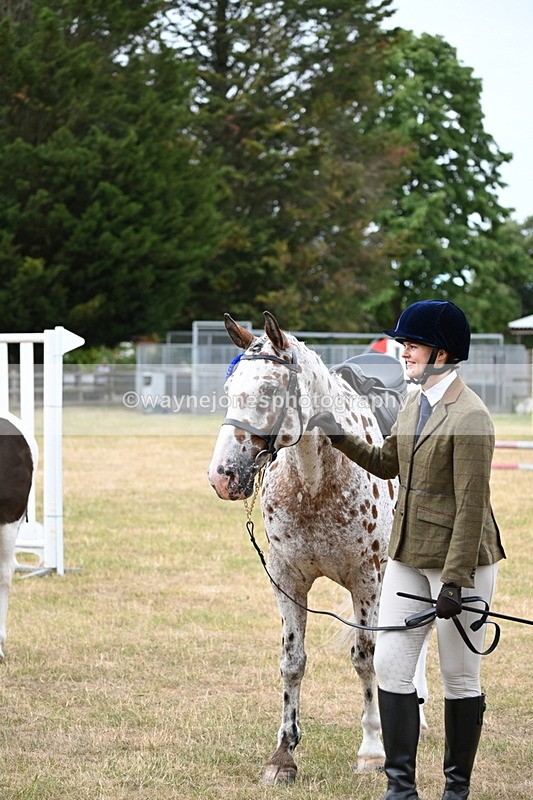 WJ6_3993 - Class 9 Tack & Turnout
