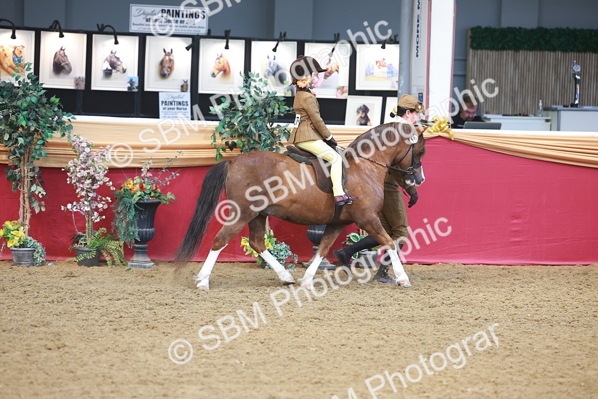 SBM_12496 - Class 103 - HOYS Veteran Qualifier - Ridden Pre Vet