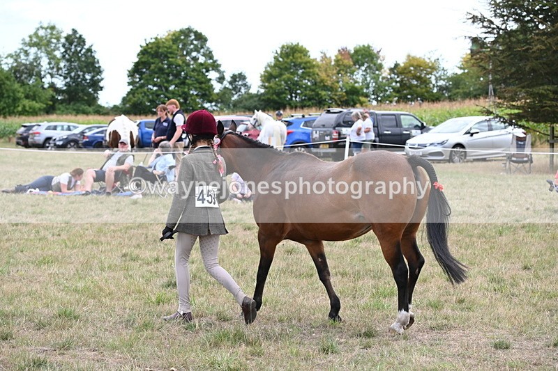 WJ6_6170 - Class 19 In-hand Veterans (Uploaded correct folder)