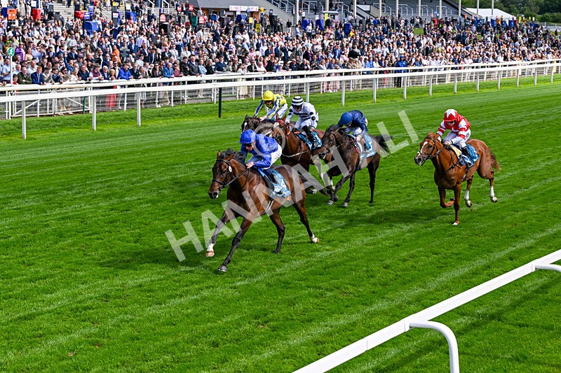 130626-Race 5-Inner City Blues-1790 - Race 5 16.15pm Tomahawk Restaurants Supporting Macmillan EBF Maiden Stakes