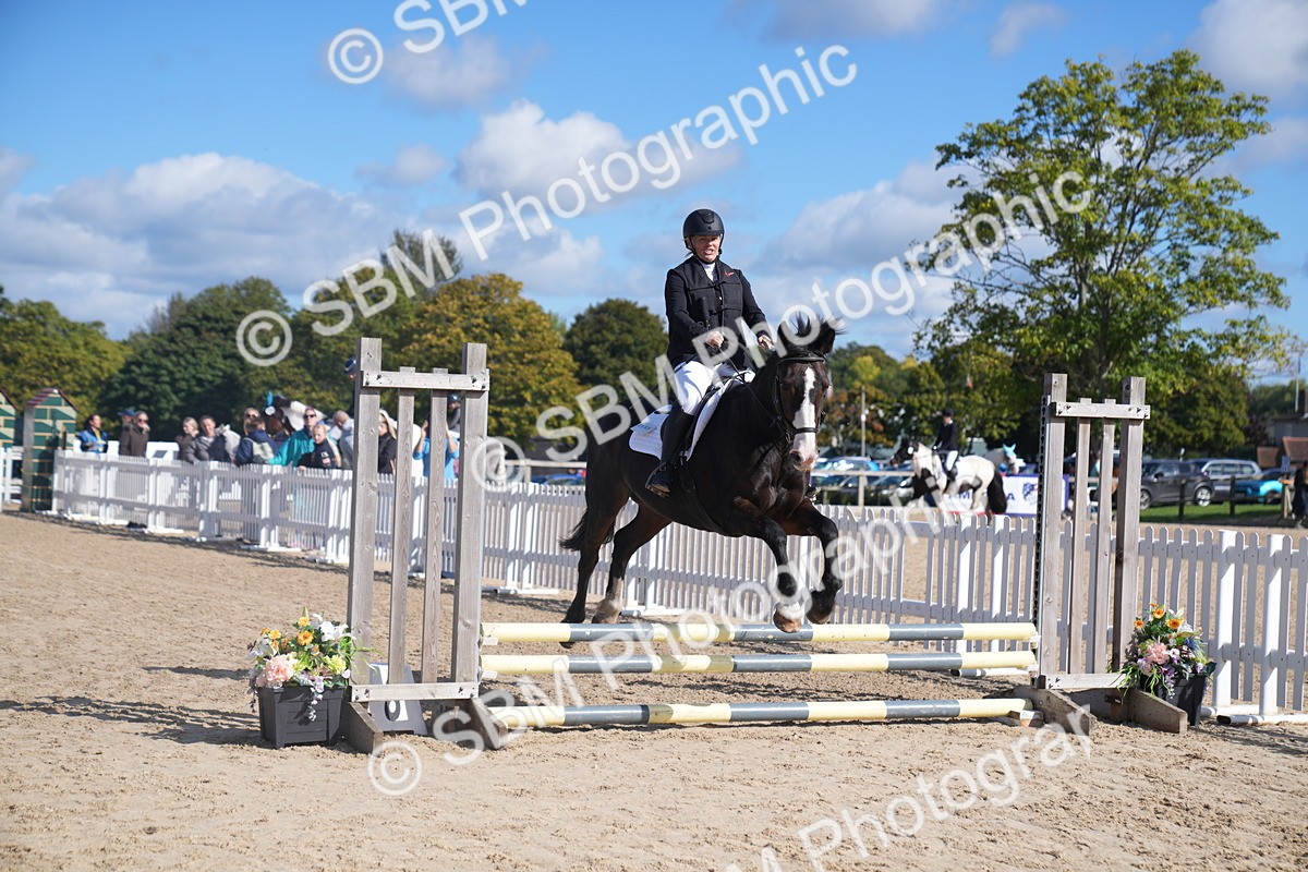 SBM_02486 - J54 Clear Round 45cm