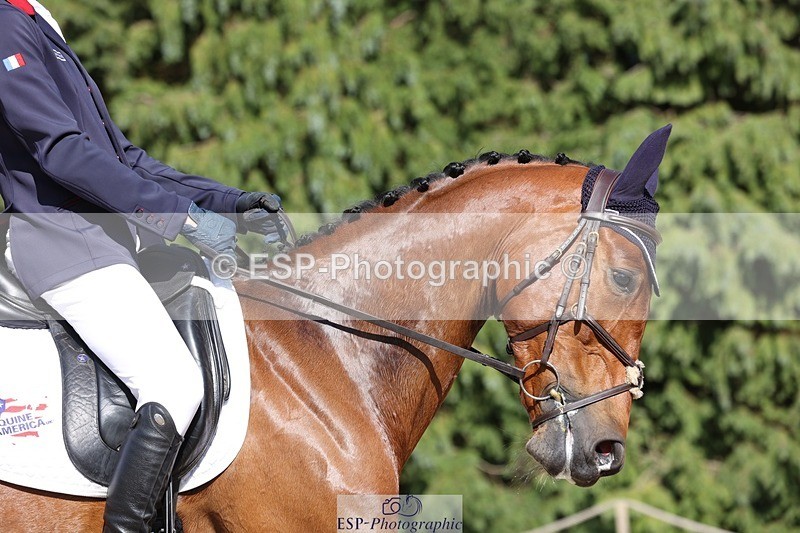 230526-165624-07868 - 173-HARIBO_LOUVO-Gaspard_Maksud-WEDTrotUp+DR