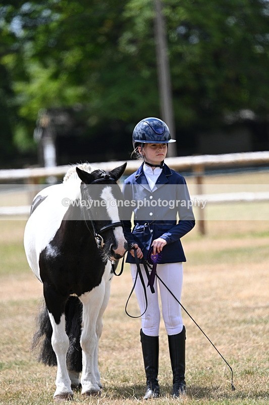 WJ7_1754 - Class 4 Prettiest Mare up to 14.2hh in hand