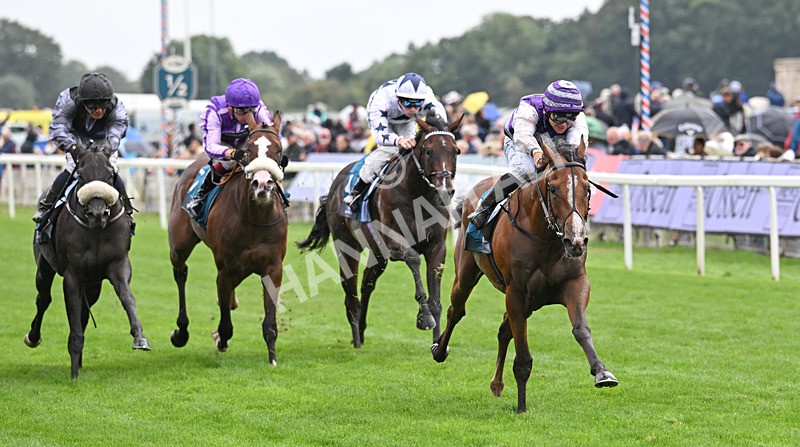 200826-160 Mia Fantasia - Race 6 16.45pm Mews Hotel Ossett EBF Stallions Nursery Handicap