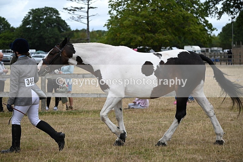 WJ6_8294 - Class 10 Coloured in Hand
