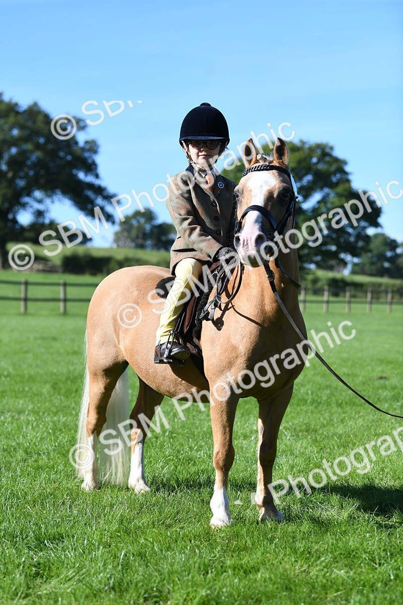SBM_36867 - S18 - Novice & Newcomers Lead Rein Pony