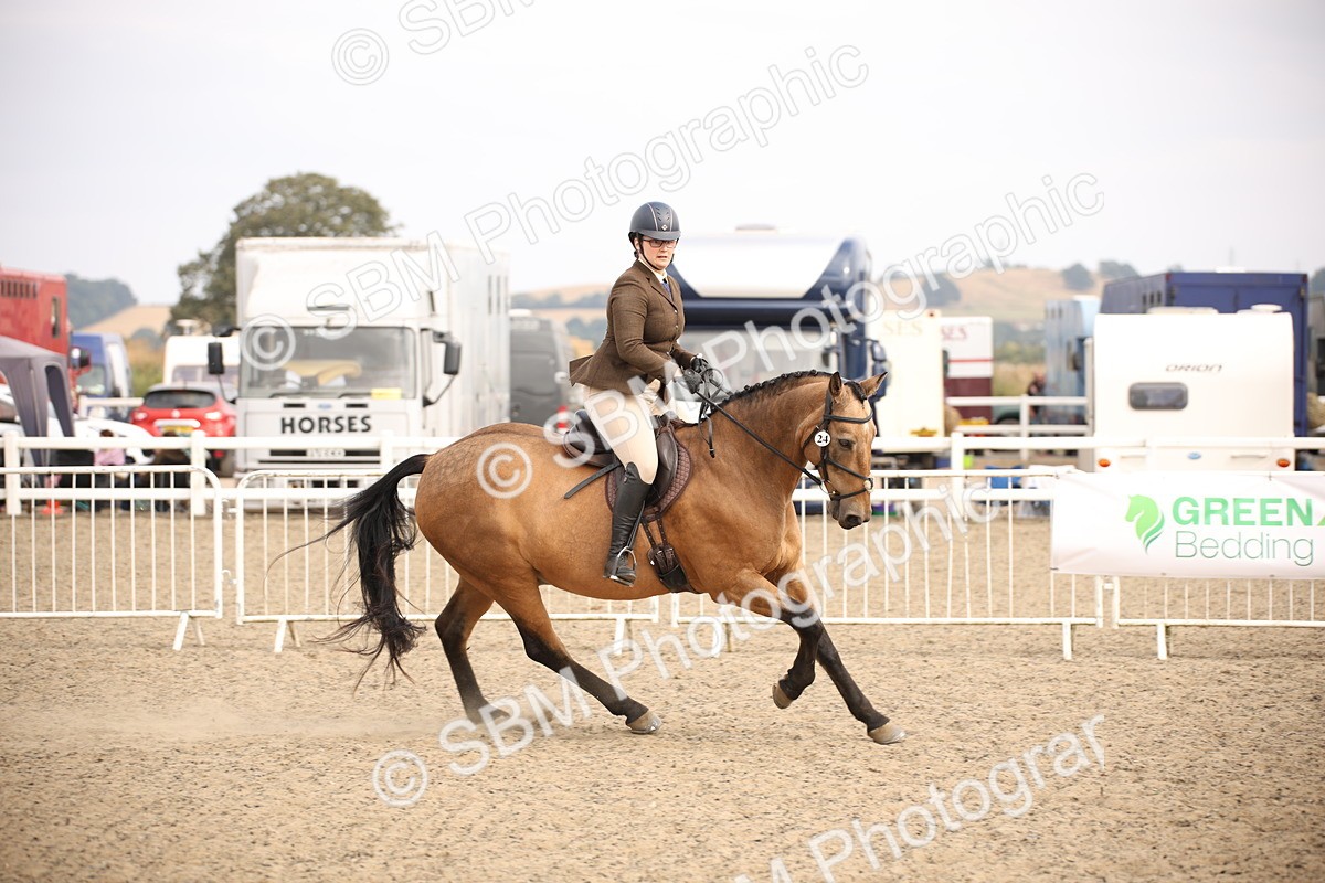 SBM_17116 - Class 409b - Working Veteran 80cm (20+)