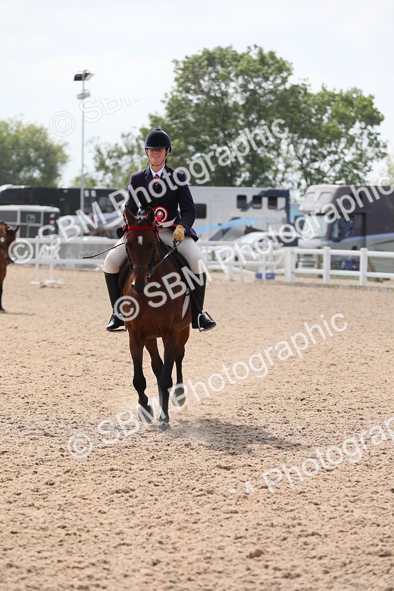 SBM_15624 - Class 311 Ridden Show Pony/ Show Hunter Pony