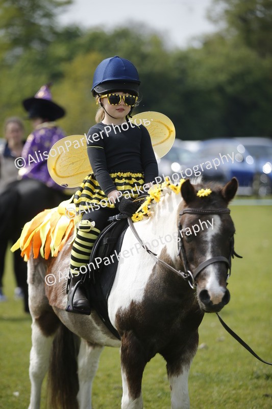 20260426-1432 - Class 6 - Fancy Dress