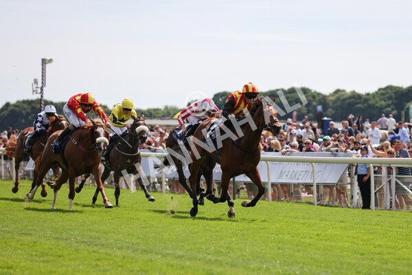 yr08072022r2-14 - Race 2 2.40pm William Hill Summer Stakes