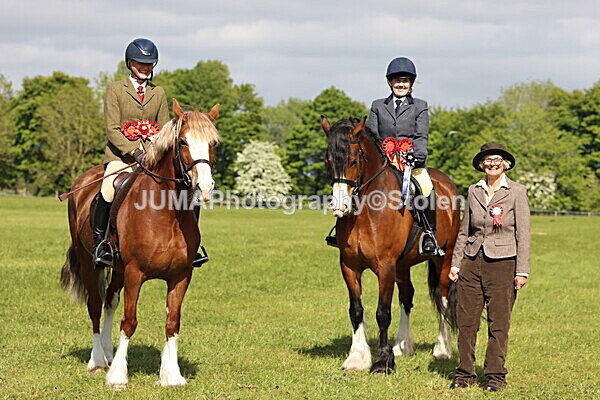 IMG_4929 - Working Hunter