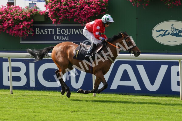 yr05092021rP-34 - Pony Races 138 and 148 cm