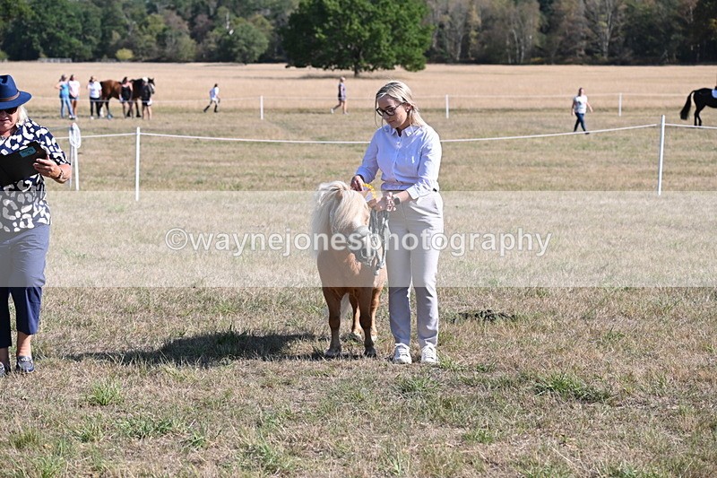 WJ6_7356 - Class 33 Rescue Pony