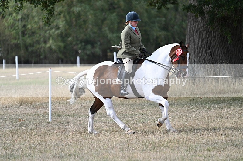 WJ7_7739 - Ridden Championship