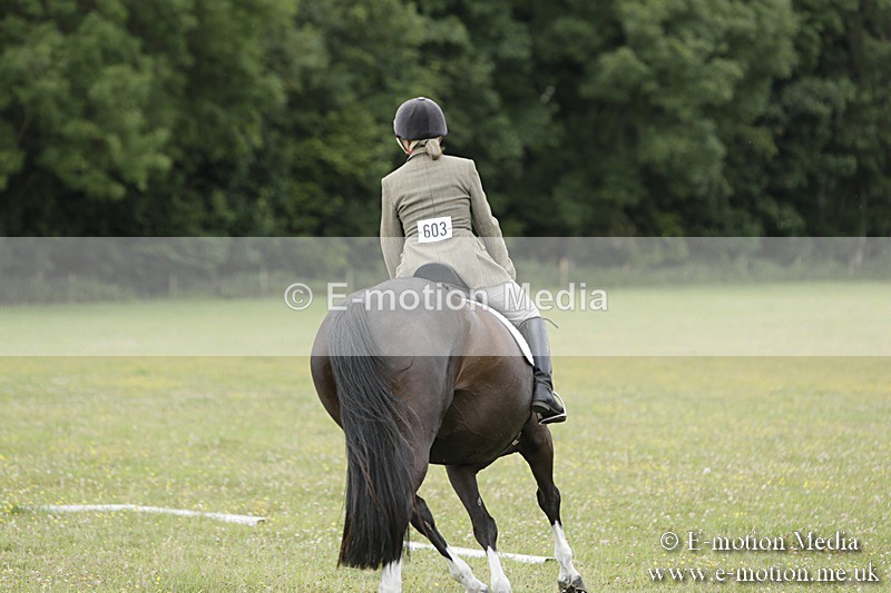 BVR160717-2069 - Class 4 & 5 Dressage 16/07/17