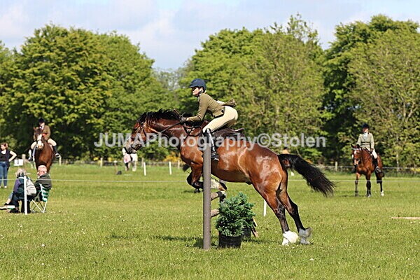 IMG_4217 - Working Hunter