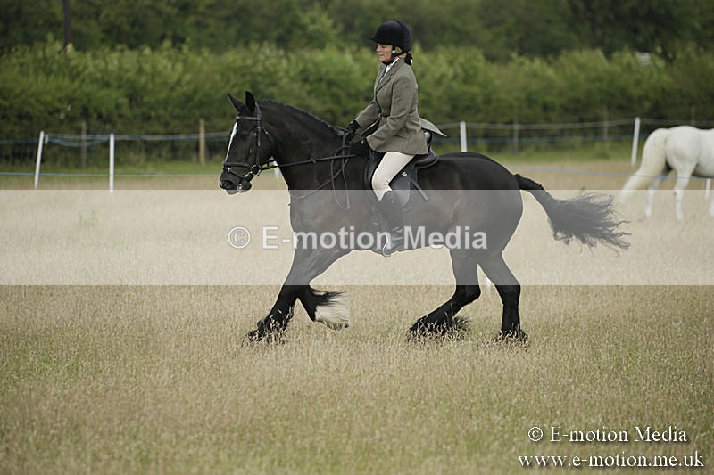 B230619-0174 - Bourne Valley Riding Club Summer Show 23/06/19