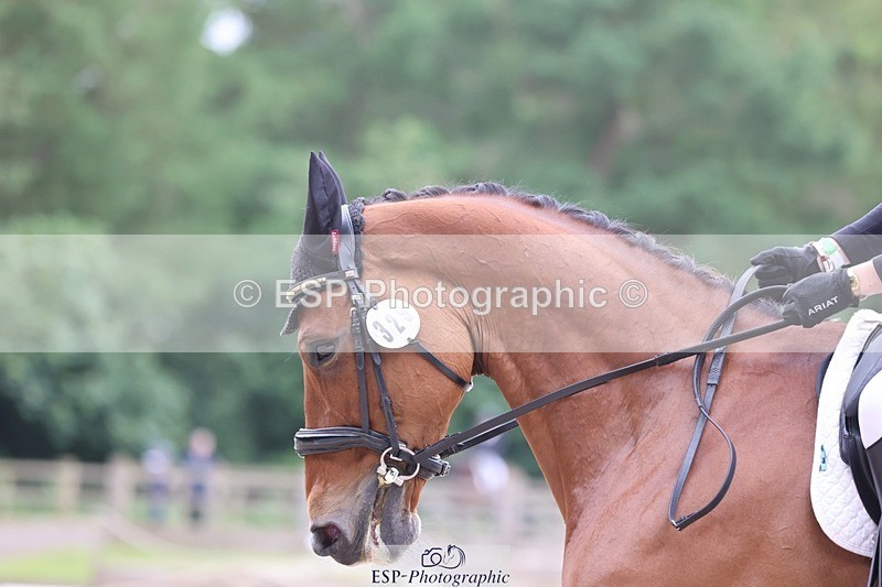 240523-180658-06326 - 329-GLOBAL_AMARETTO-Charlotte_Agnew