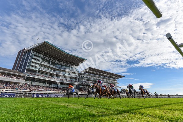 111025-Race 2-Grey Cuban-1918 - Race 2 Coral 'Pipped At The Post' Handicap at York