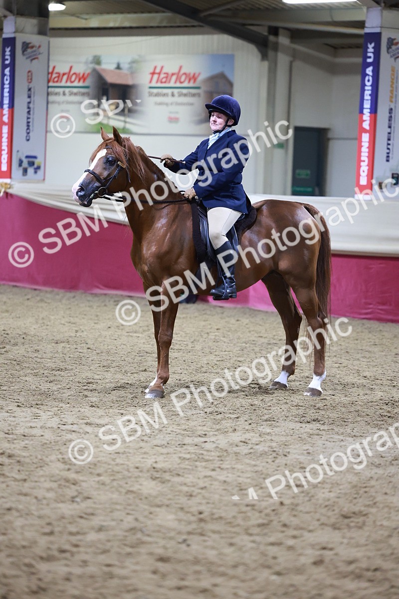 SBM_21299 - Class S - Style & Performance Champ