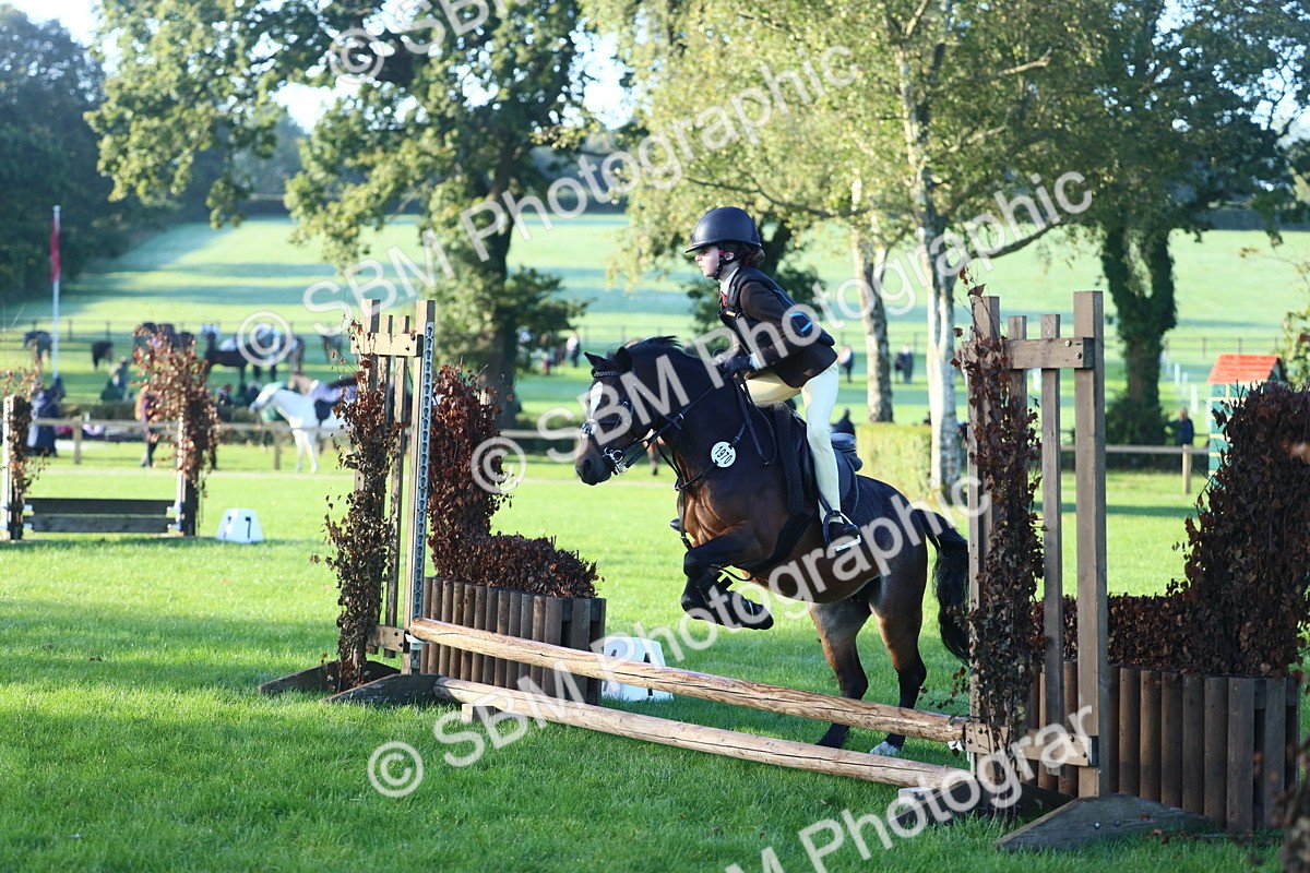 SBM_37288 - S29 - Novice & Newcomers Working Hunter Pony