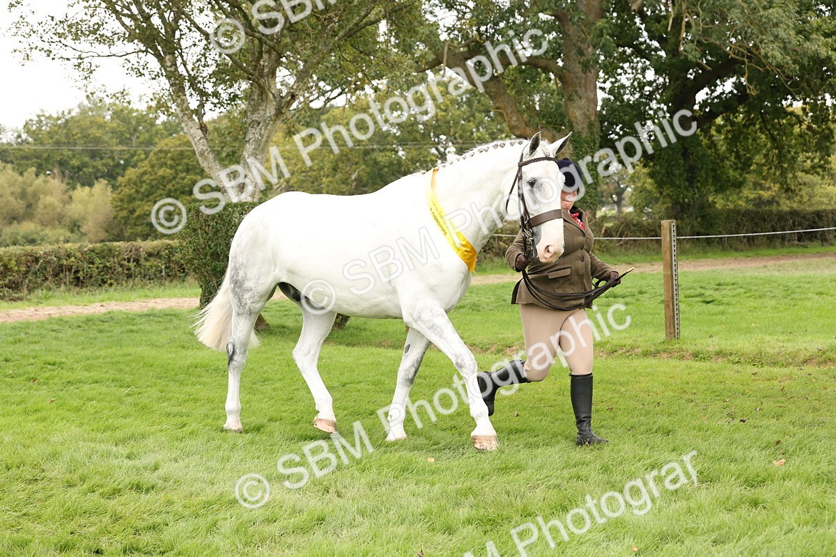 SBM_60839 - In Hand Horse Supreme Championship