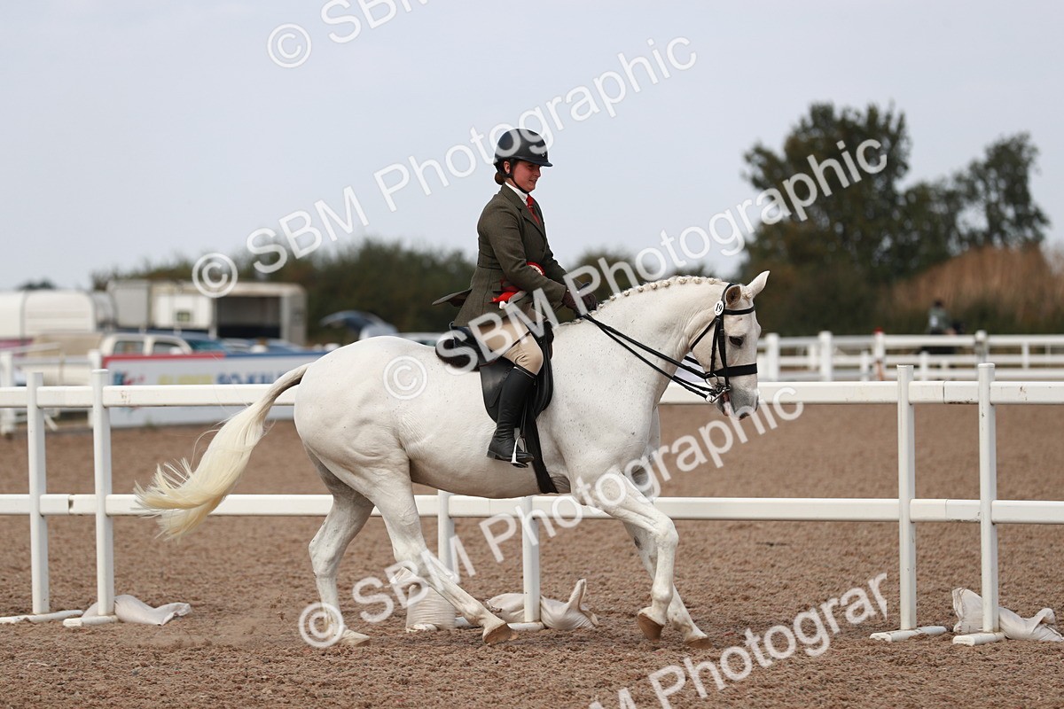 SBM_14933 - Class 212 Ridden Hunter - Small