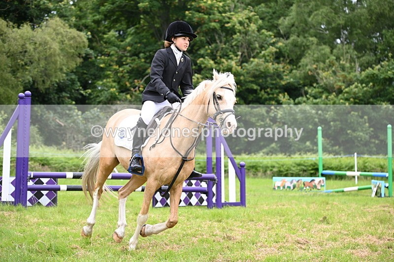 WJ6_5650 - Class 5 pairs 70cm