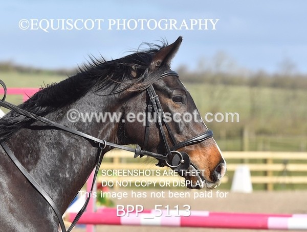BPP_5113 - CLASS 2 Club/ Unaffiliated 80cms Open