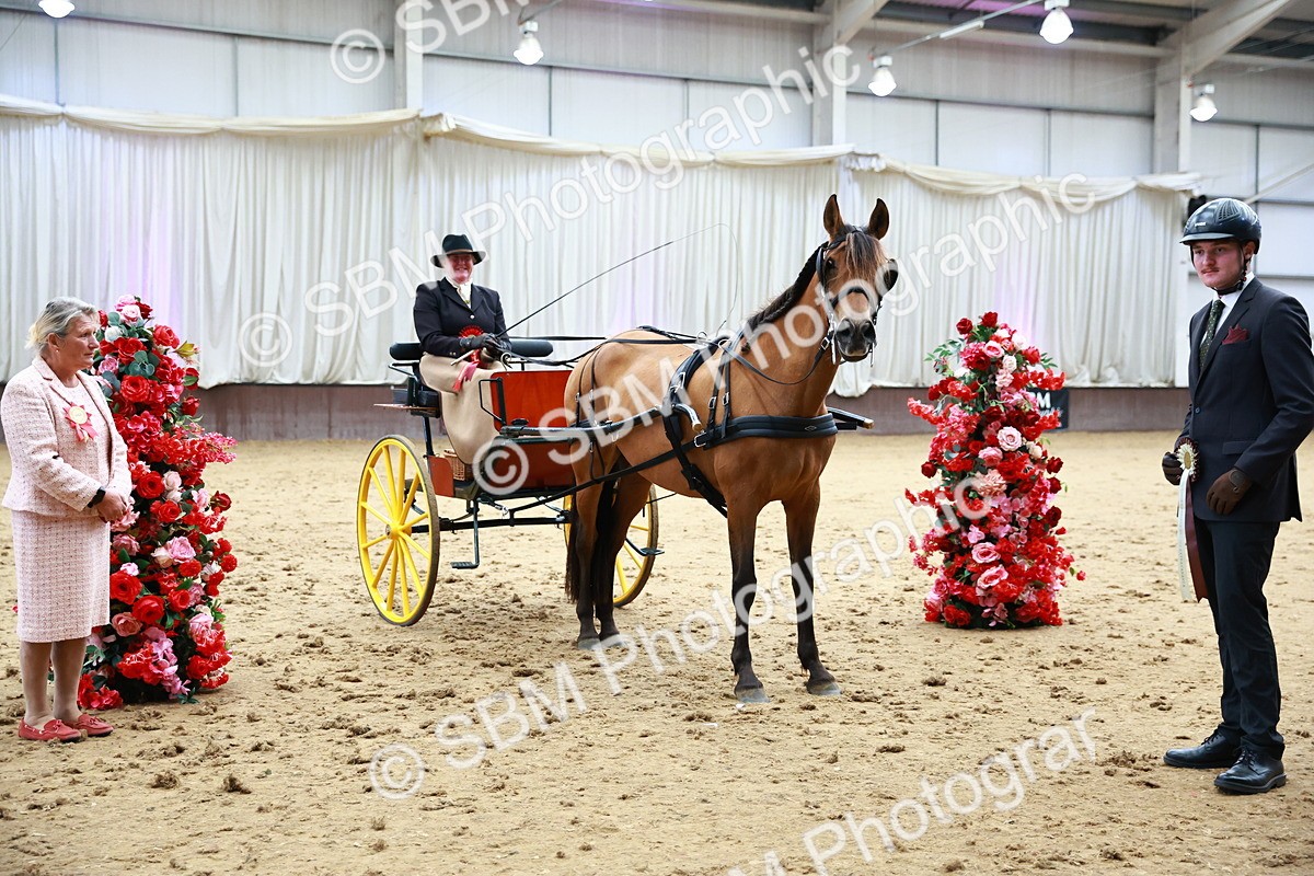 SBM_001078 - Class 15 - Open Showmans Class
