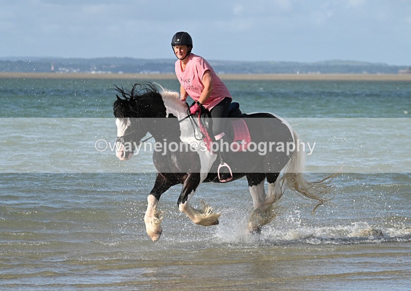 WJ7_3934 - Kellie & Churchill ... do Hayling Island 25-08-24