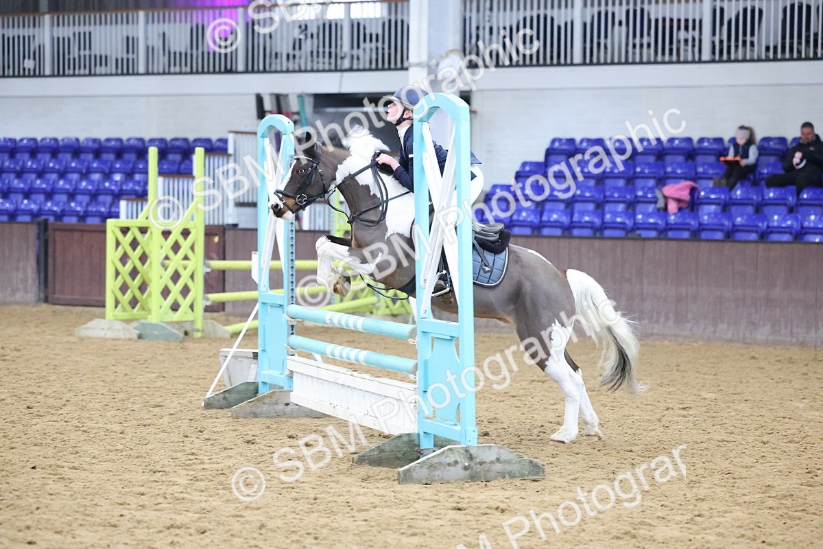 SBM_001566 - Class 2 - STX UK Pony British Novice - 80cm