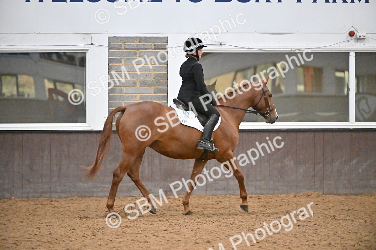 SBM_003009 - Class 37,38 - UKPSAF Performance Horse & Pony