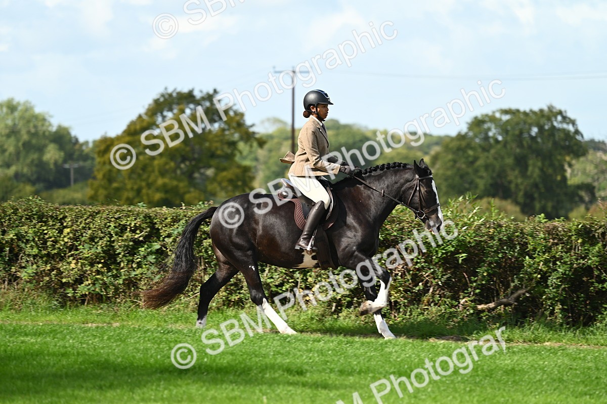 SBM_01939 - S2 - TSR Ridden Horse Showing