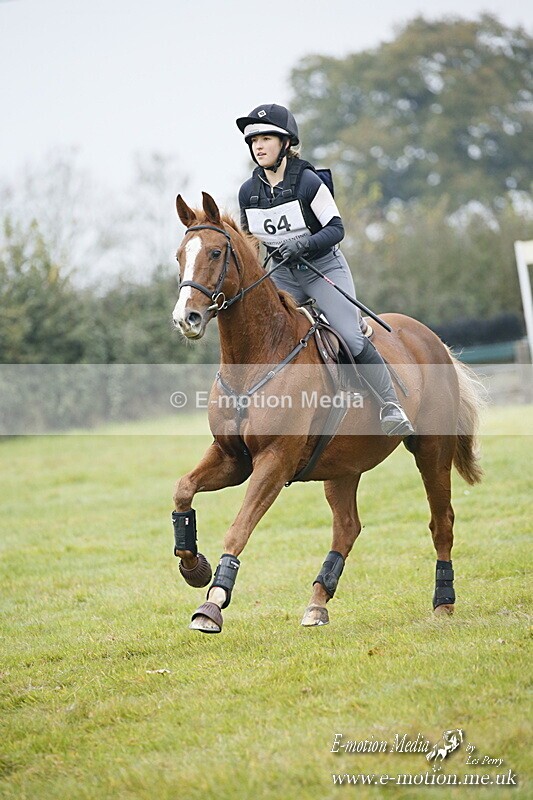 WWHT 181020 WWHT 181020 531 - WWEC Open Novice (0.80m) 18/10/20