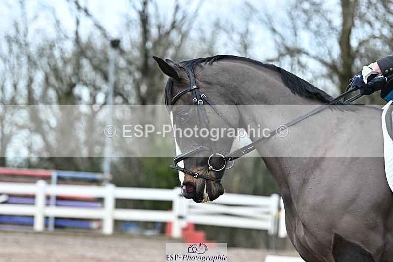 250125-143429-00864 - Dressage - CT Class 7 BE Novice 112