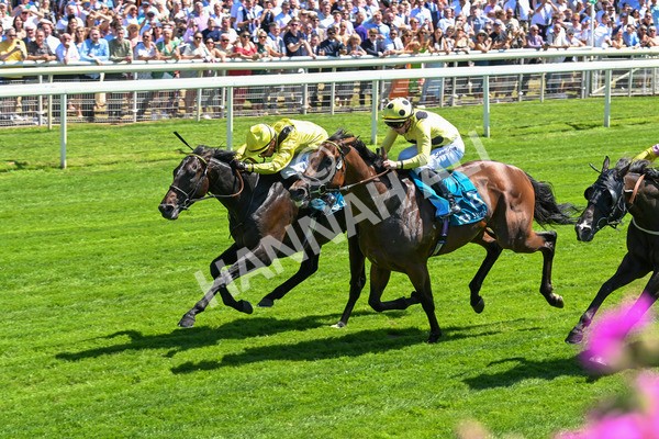 120725-Race 1-Remmooz-5515 - Race 1 2.00pm John Smith's Racing Handicap