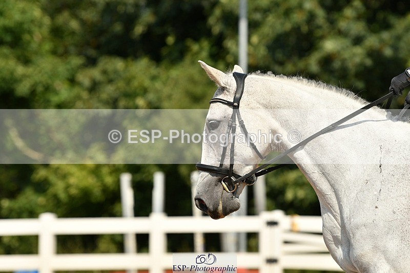 250817-120737-08780 - 099-Essie.BarkerBloody.Nora