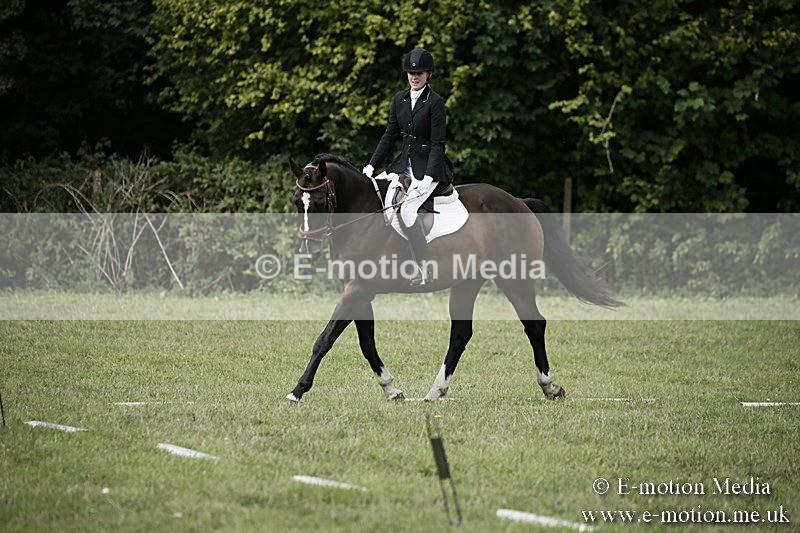 BVR090918 216 - BVRC Dressage and Show Jumping 09/09/18
