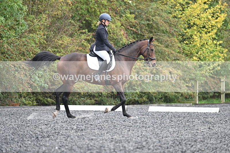 WJ7_3807 - Time 11:04 to 11:38