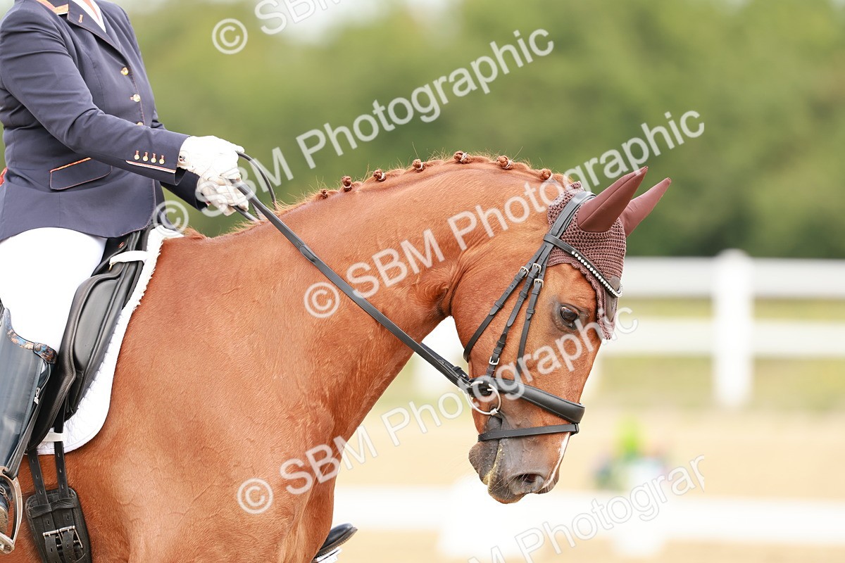 SBM_009031 - Class 12 - Elementary 6 - 9.30-10.34