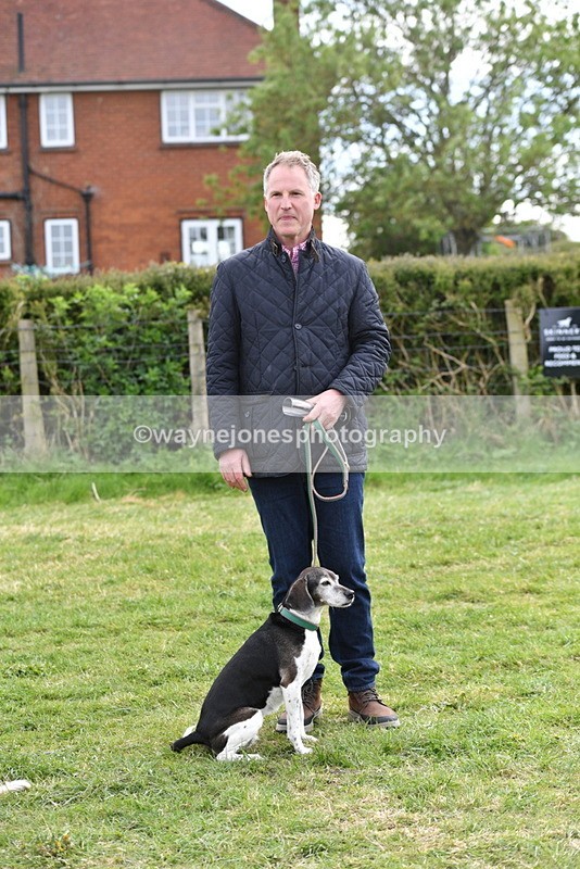 WJ5_0164 - Class 5 Best Veteran / 7 years & over