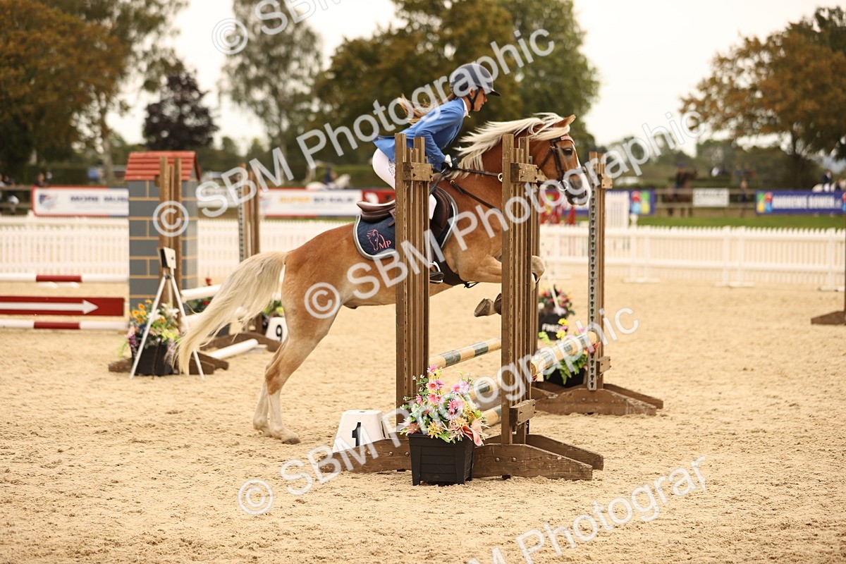 SBM_72601 - J14 - Junior Pony 65cm Championship
