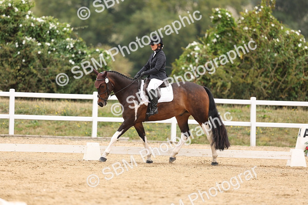 SBM_01695 - Class 9 - Novice 27 Champs
