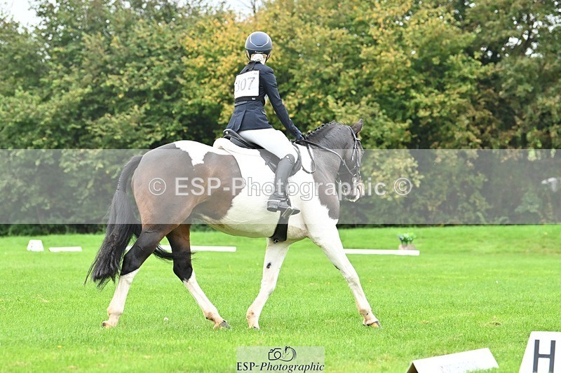 241024-103835-02231 - 307-Ava.Moor-LANGALLER.SUNRISE